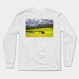 09551  Bison in Yellowstone Long Sleeve T-Shirt